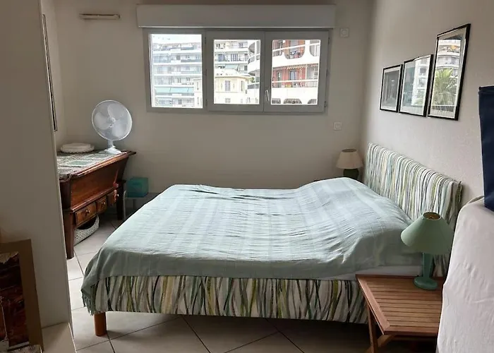 Plein Centre Appartement *